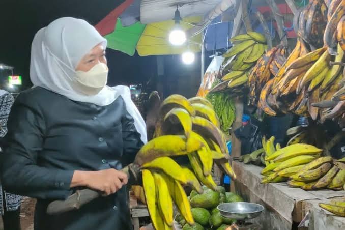 Pisang agung Lumajang